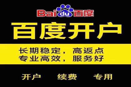 SEM运营公司案例：助力企业业绩增长